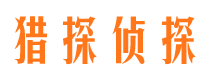 龙凤侦探公司